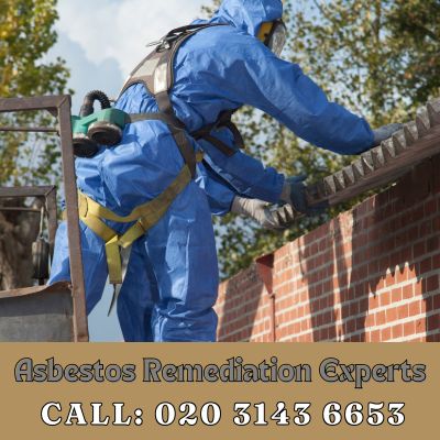 Asbestos Remediation Experts Waterloo