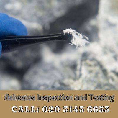 Comprehensive Asbestos Inspection and Testing Services in Waterloo